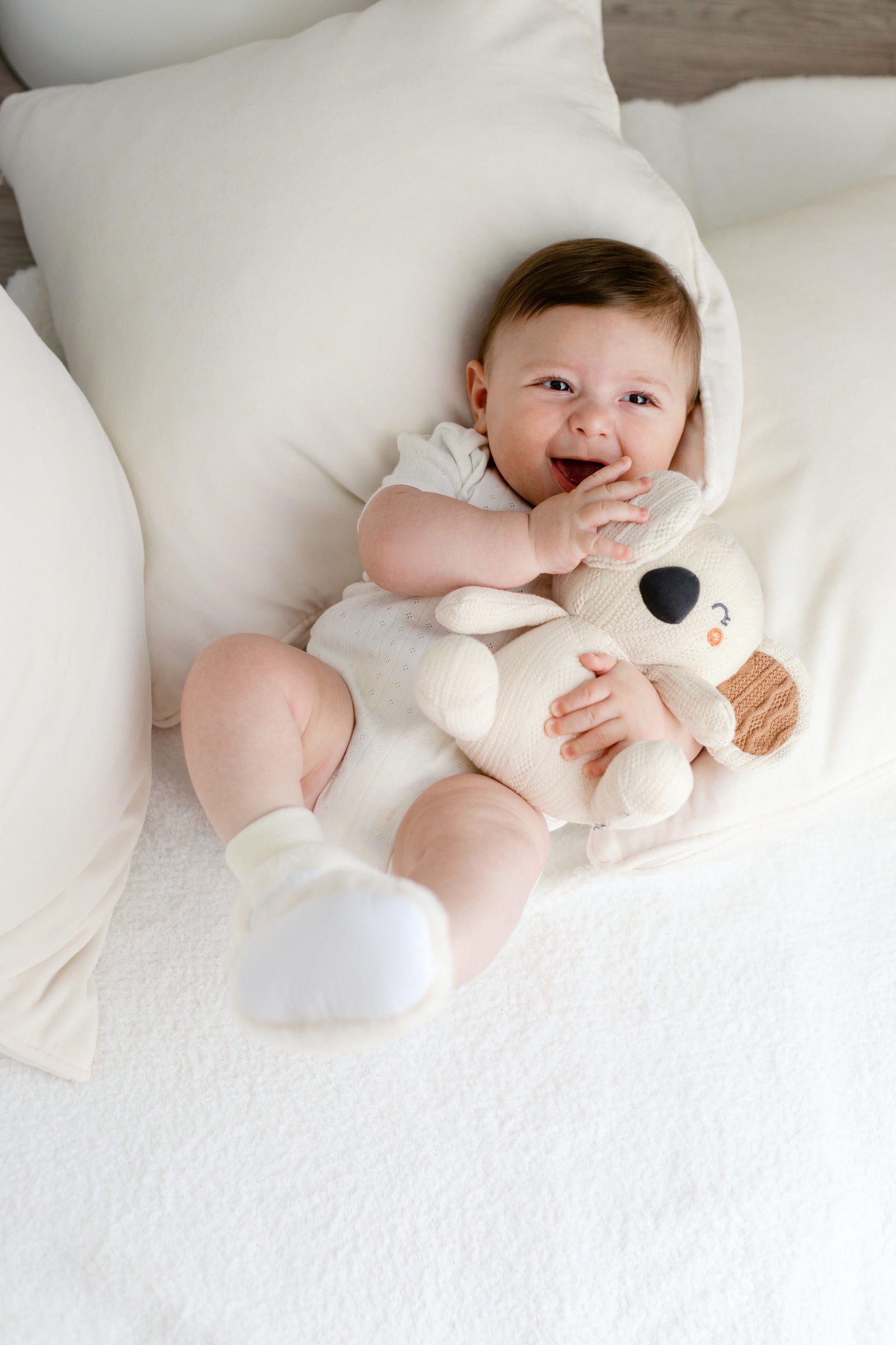Koala Cuddle Companion