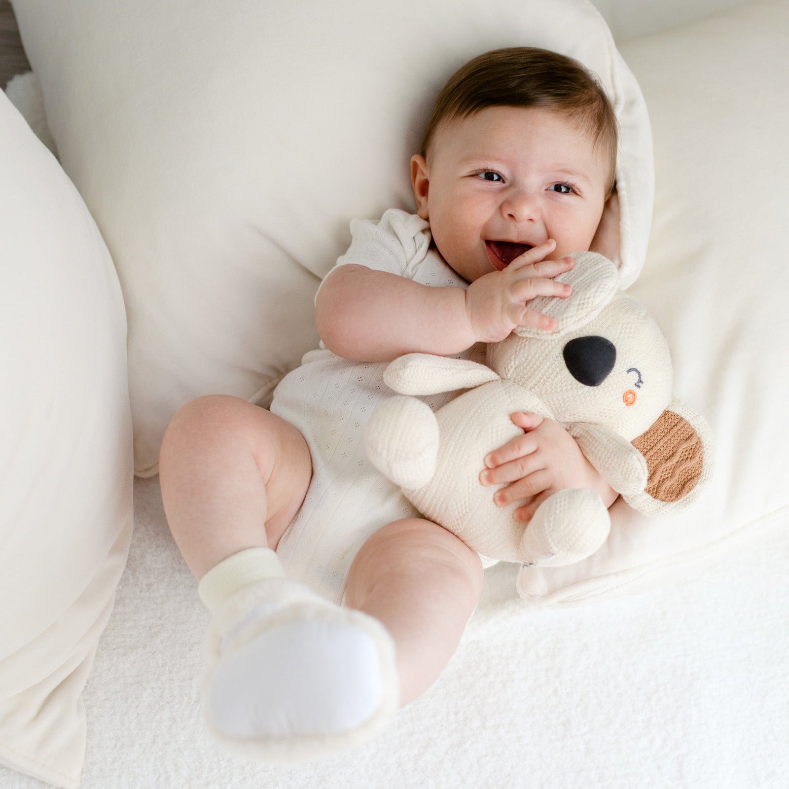 Koala Cuddle Companion