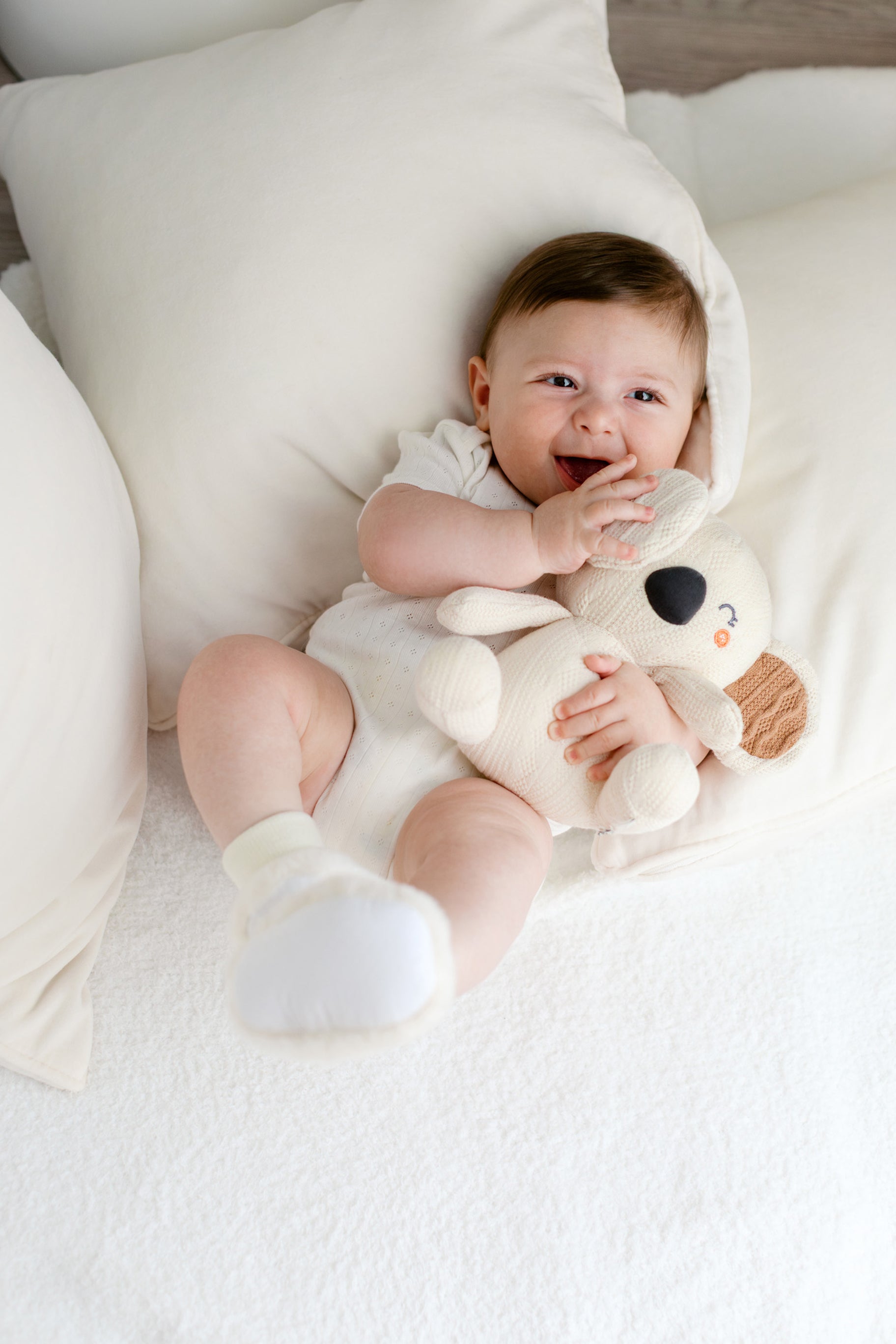 Koala Cuddle Companion